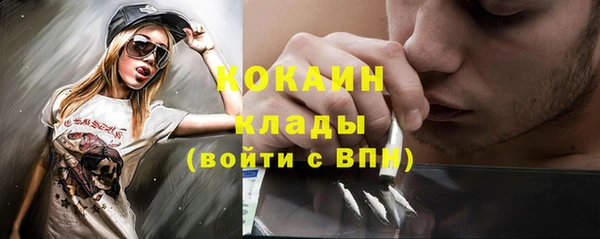 бошки Бронницы