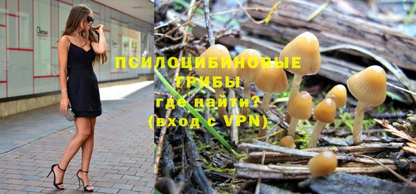 бошки Бронницы