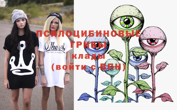 бошки Бронницы