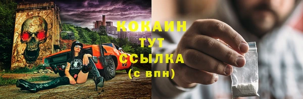 бошки Бронницы