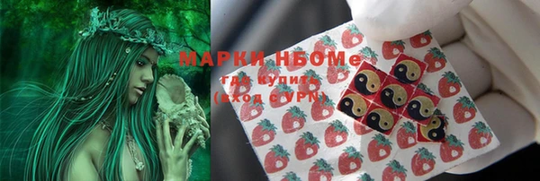 бошки Бронницы