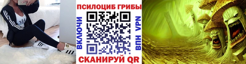 Галлюциногенные грибы GOLDEN TEACHER  Купить где  Струнино 